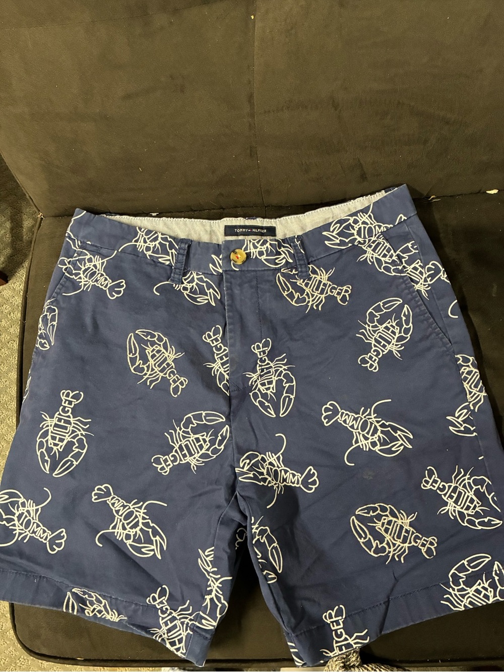 Tommy Hilfiger Navy and Cream Trim Shorts